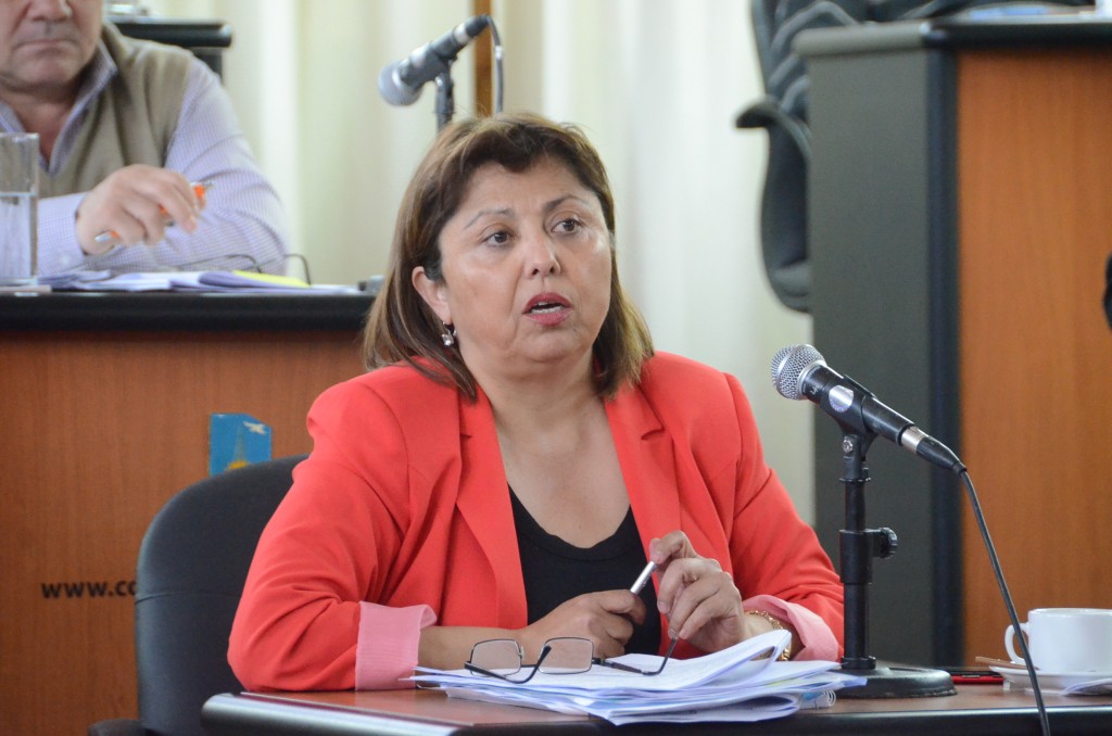 Concejo 29102015 (6) Navarro