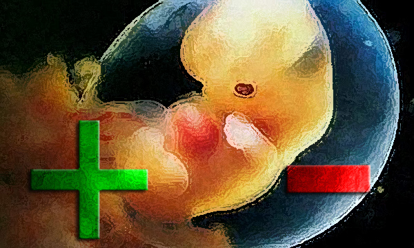 La jueza Argibay volvió a pronunciarse a favor del aborto