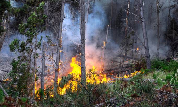 Temor que el incendio avance a zonas más pobladas