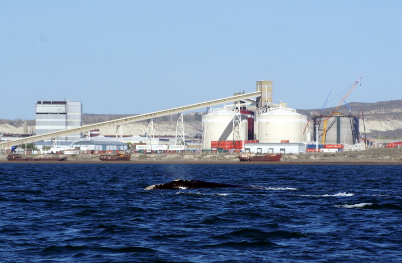 Aluar se salvo de una multa millonaria por fuerte contaminación