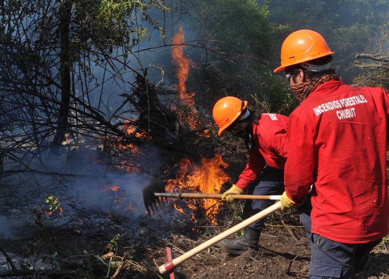 Se suman 40 brigadistas chilenos para combatir los incendios