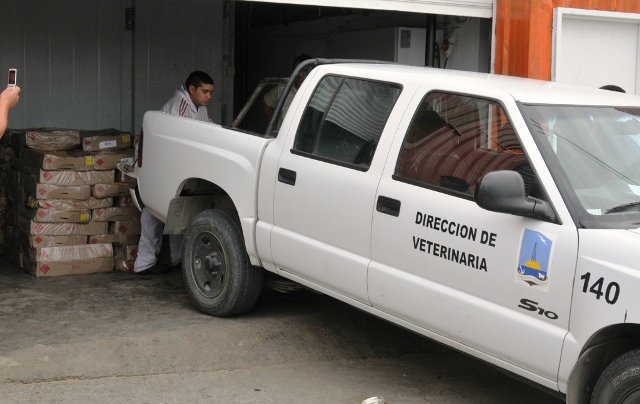 Incautan 2 mil kilos de pollo