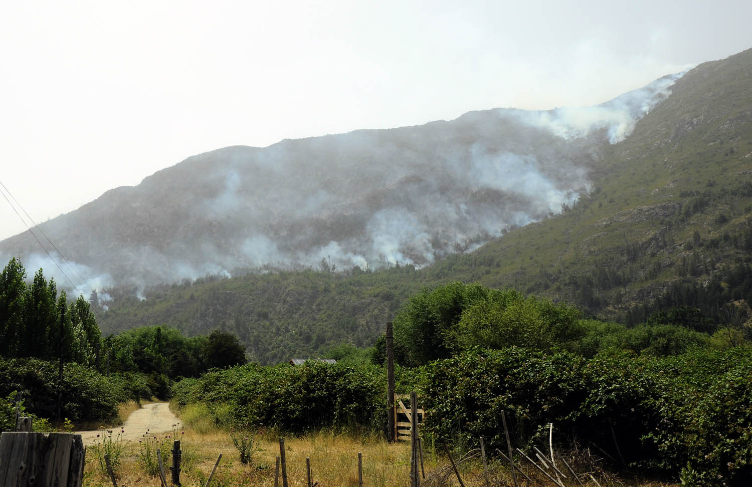 Incendios forestales: inminente comienzo de allanamientos de investigación