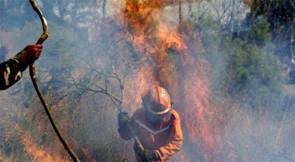 Probables nuevas evacuaciones en torno al incendio de bosques