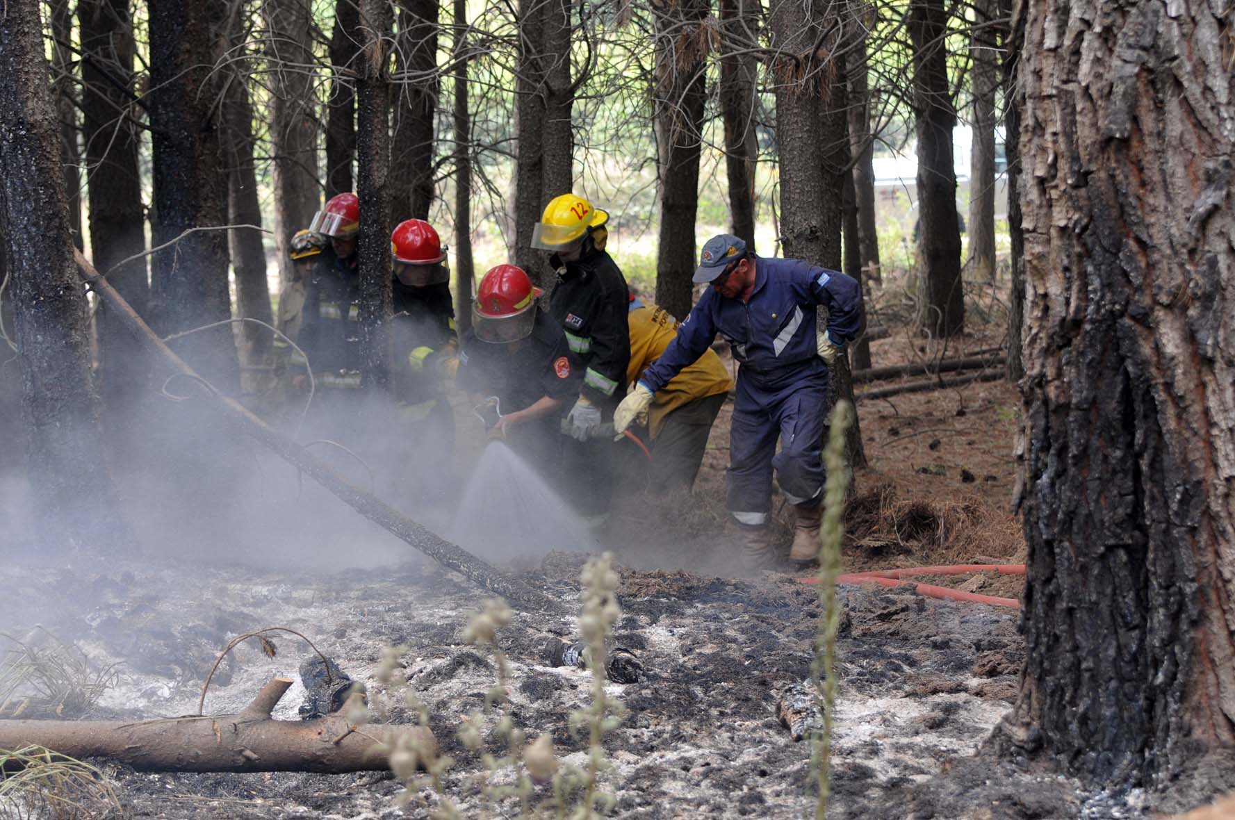 Incendios: aseguran que deberían renunciar Evaristo Melo y Manuel Peralta