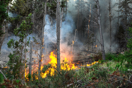 Identifican a uno de los sospechosos de provocar el incendio en la Cordillera
