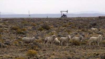 Impulsarán una ley marco para los contratos petroleros