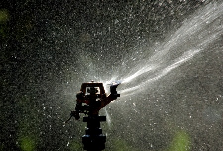 Entró en vigencia la ordenanza que restringe el uso indiscriminado de agua