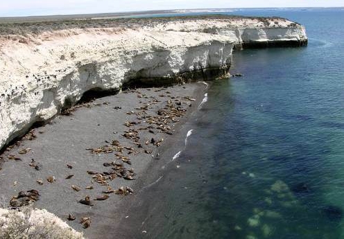 La entrada a Península Valdés podría aumentar un 30% antes de fin de año