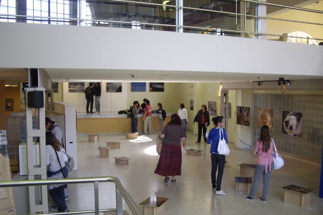 Chubut Deportes sesiona en nuestra ciudad