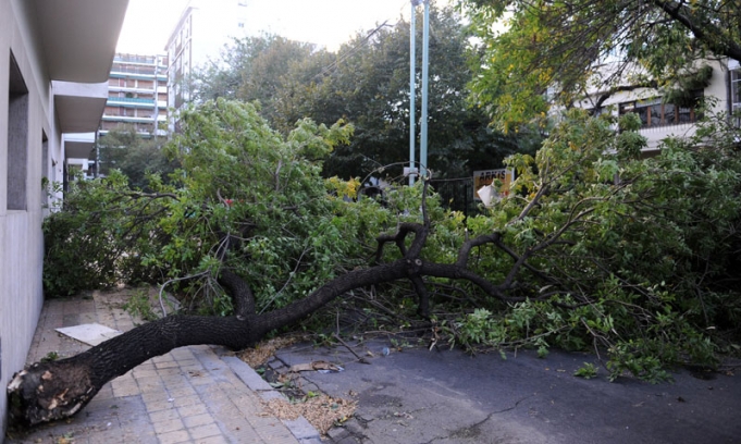 Al menos 5 muertos por el fuerte temporal que sacudió a Capital