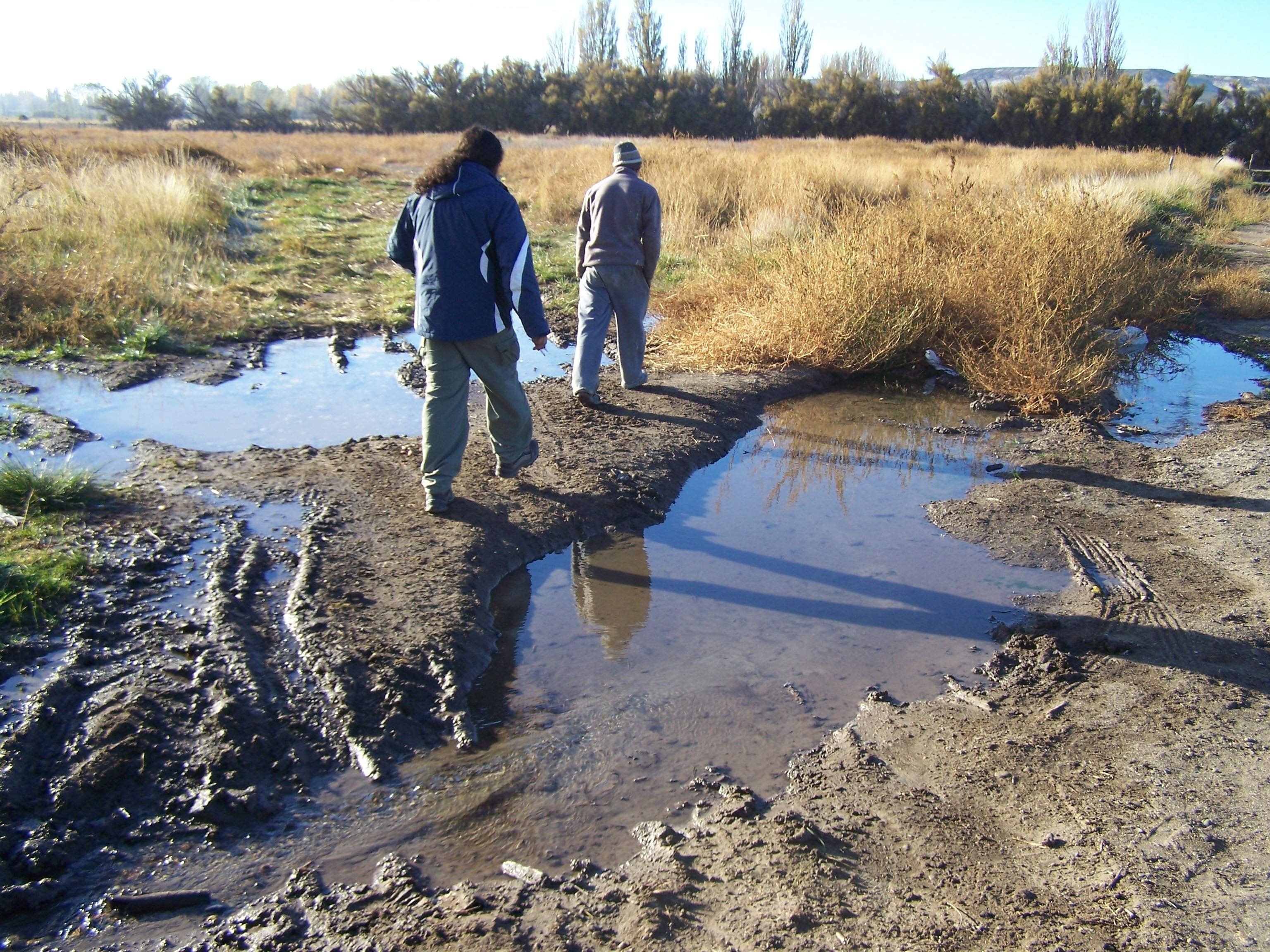 Ambiente direcciona controles a plantas de tratamiento, mataderos y avícolas