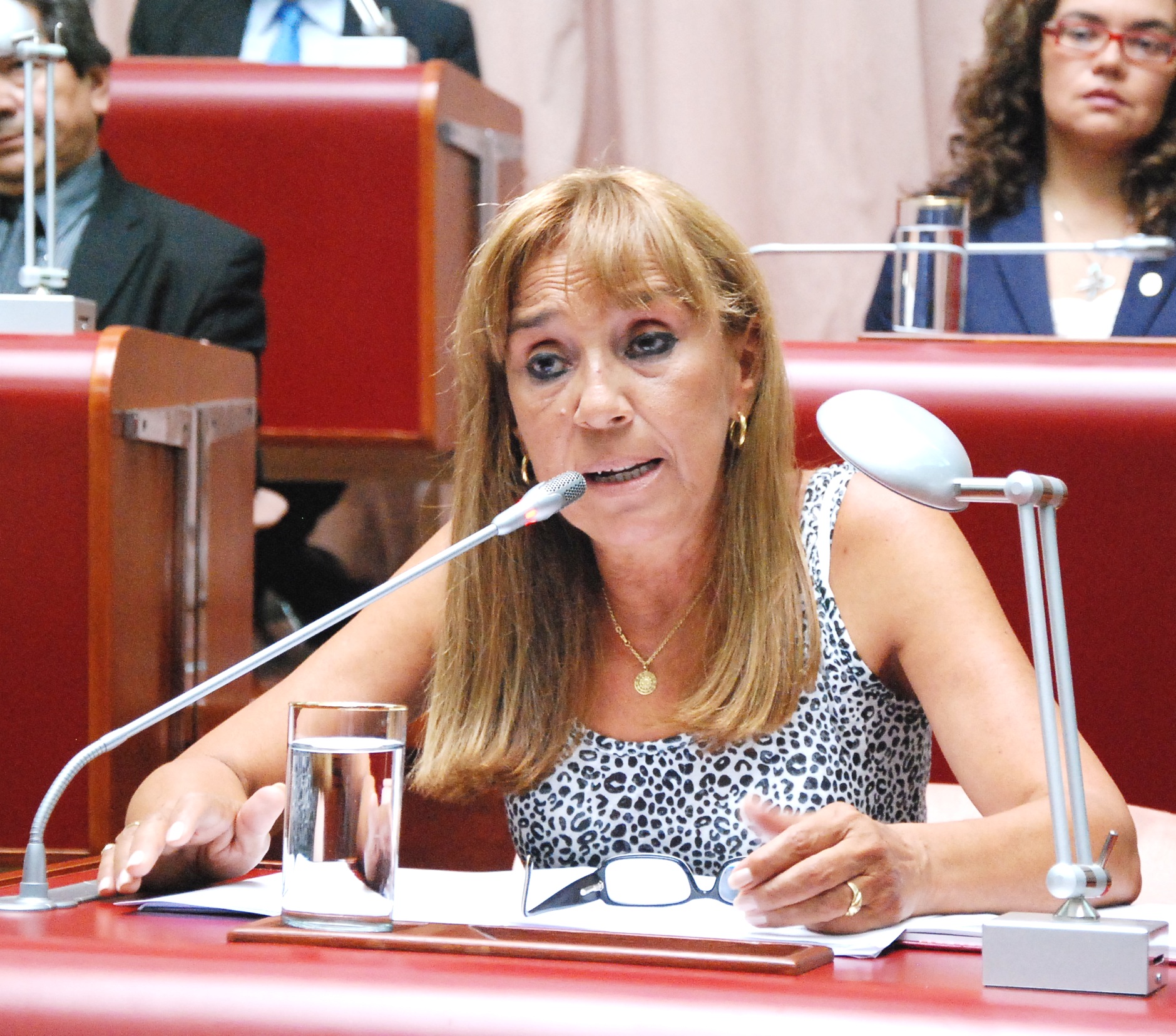 “Ika” Martínez: “Buzzi se convirtió al FPV”