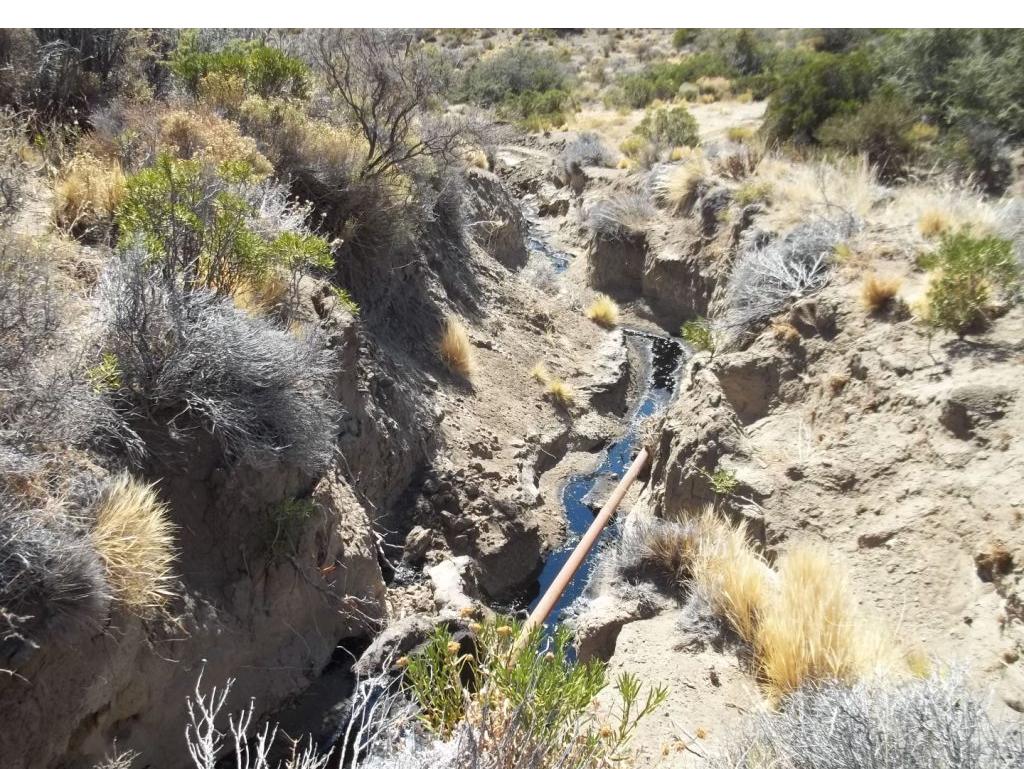 Ministerio de Ambiente propone una fuerte revisión de expedientes