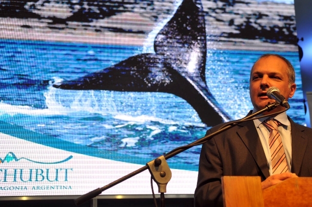 Quedó inaugurada la temporada de ballenas 2012