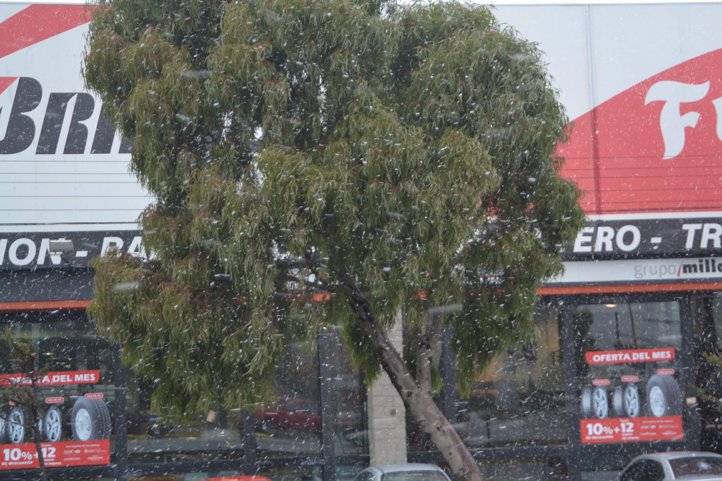 Probabilidades de nevada en la ciudad