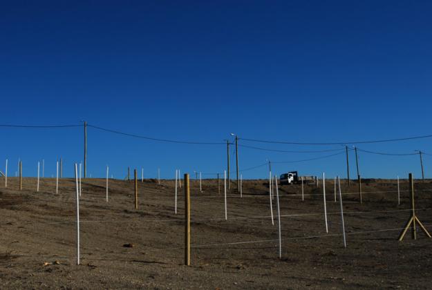 El Municipio evalúa ofrecer terrenos que están abandonados