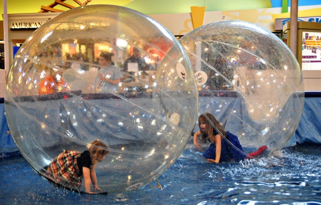 Con gran éxito comenzó el “Mundo Fenogenial”
