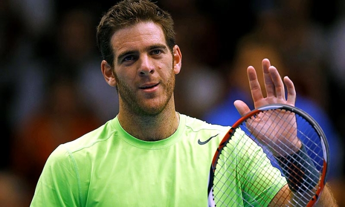 Del Potro se quedó con el ATP de Viena