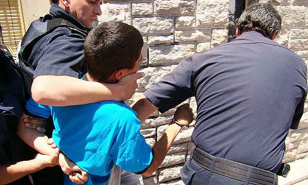 La inseguridad y la consulta popular