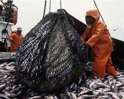 Risso cuestionó fallo judicial sobre actividades pesqueras