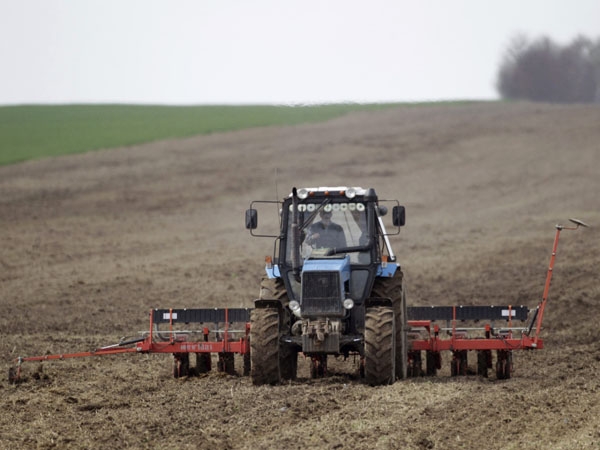 Por las lluvias disminuye año a año la producción de soja