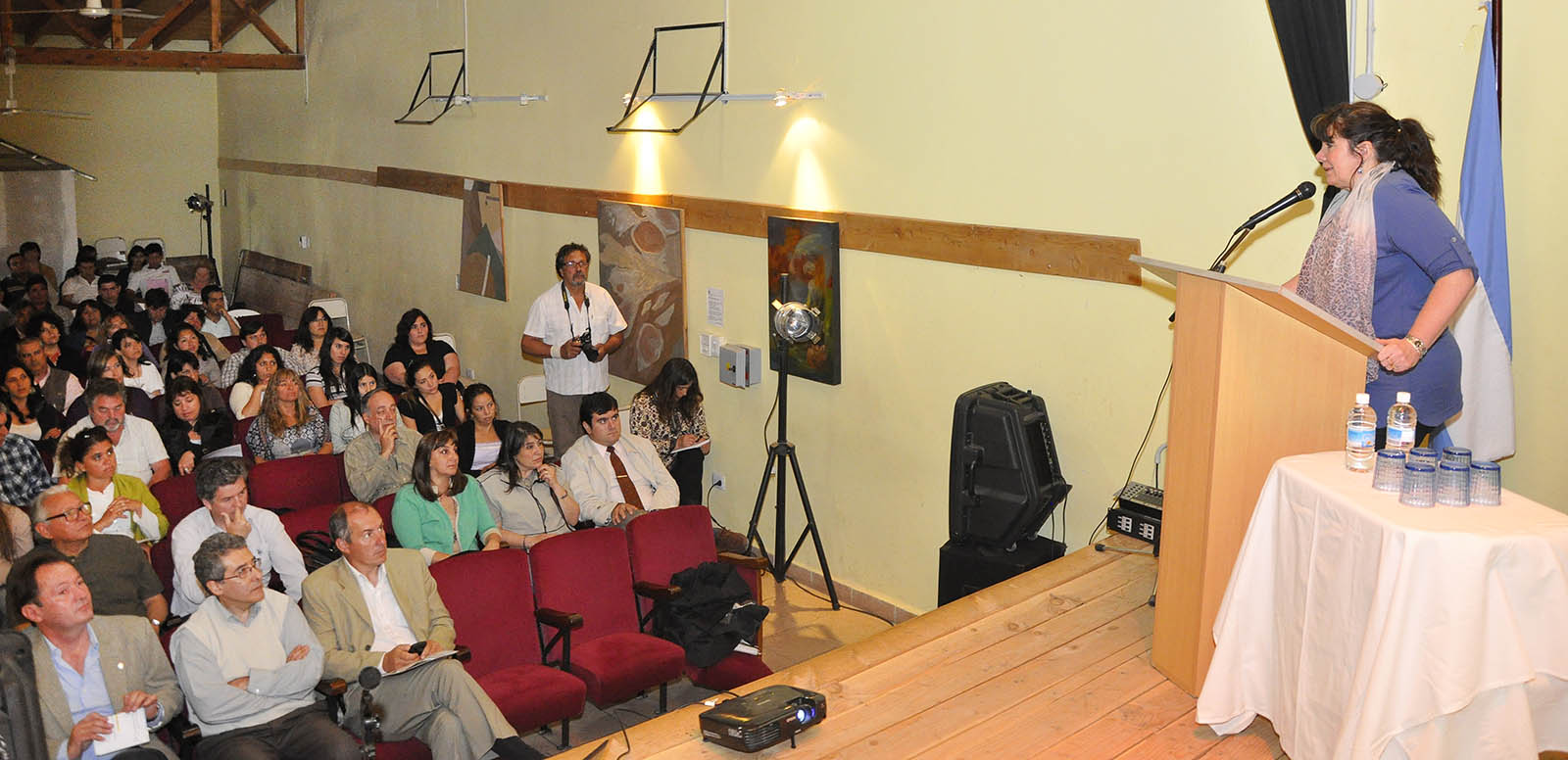 Chubut es un ejemplo en estructura tributaria