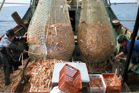 Pesca: Una ayuda para descomprimir la situación del sector