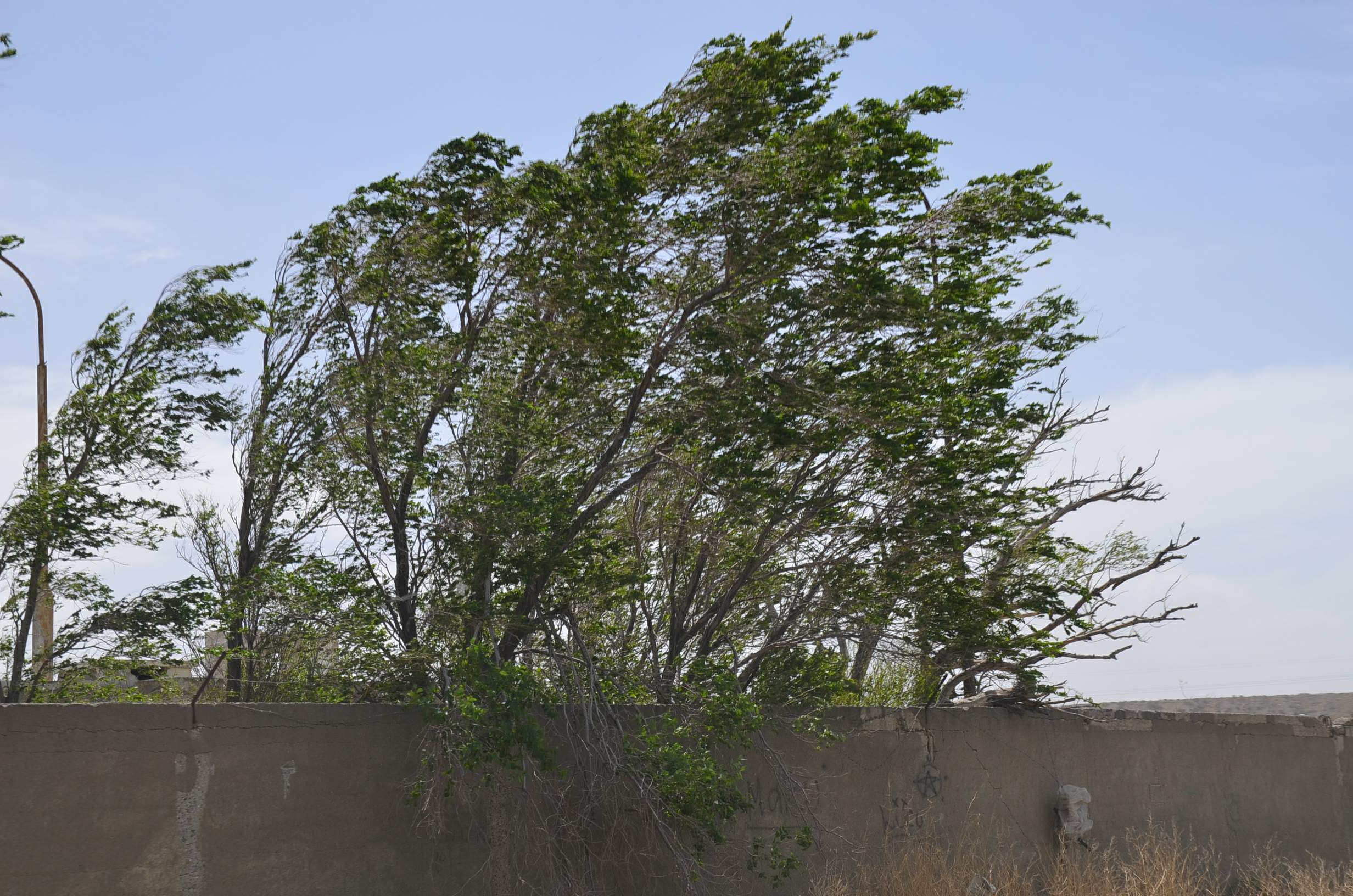 El viento seguirá al menos hasta esta noche