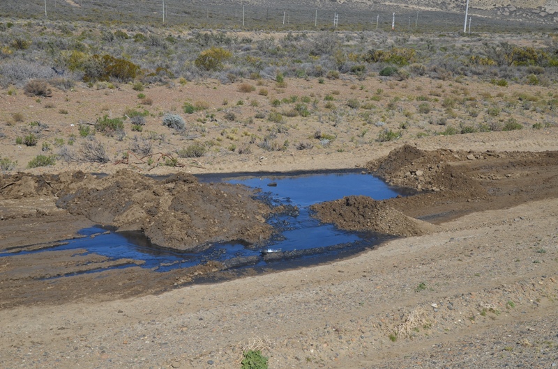 Risso quiere un relevamiento del pasivo ambiental petrolero