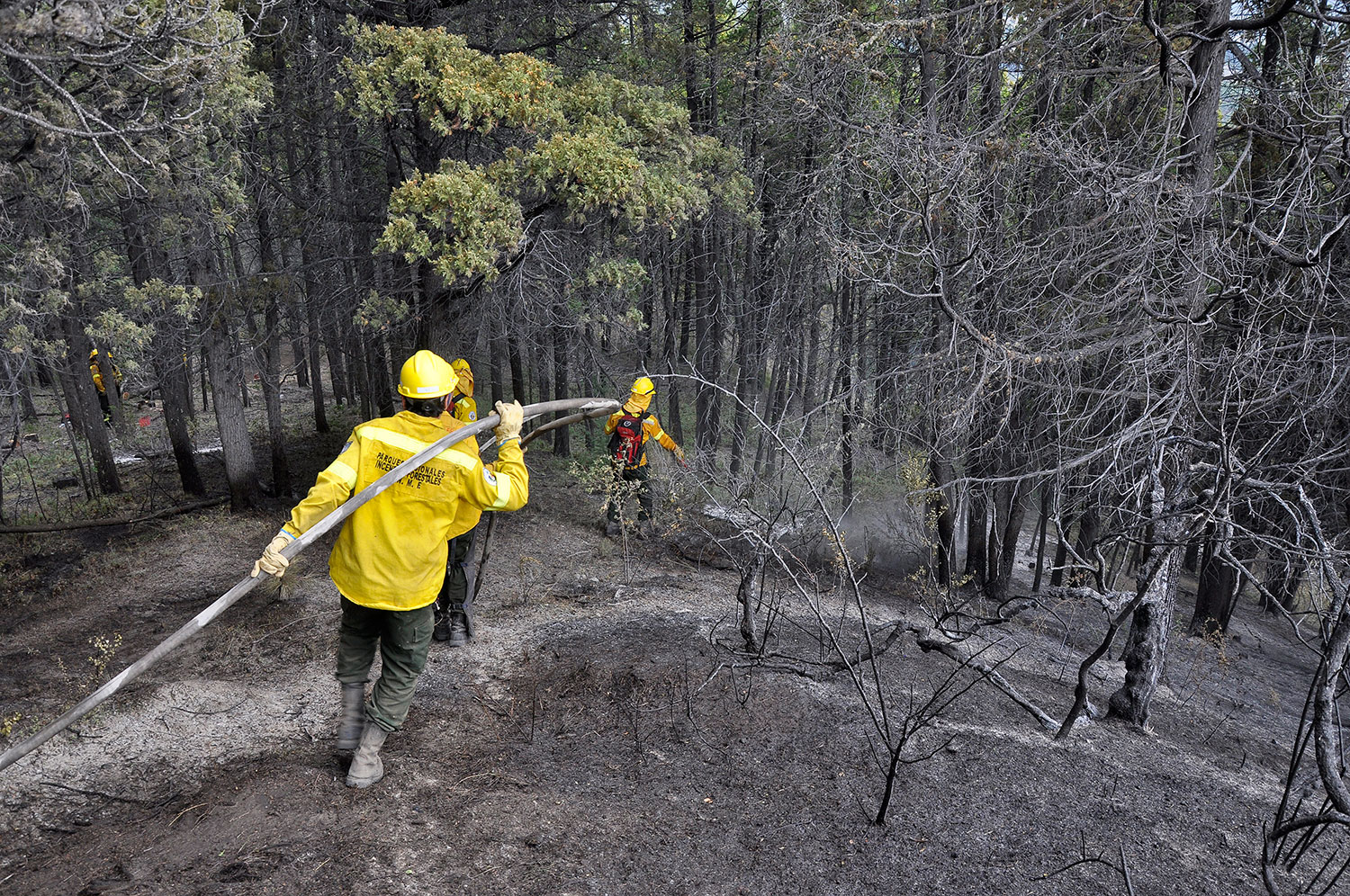 Brigadistas lograron controlar el incendio en Epuyén