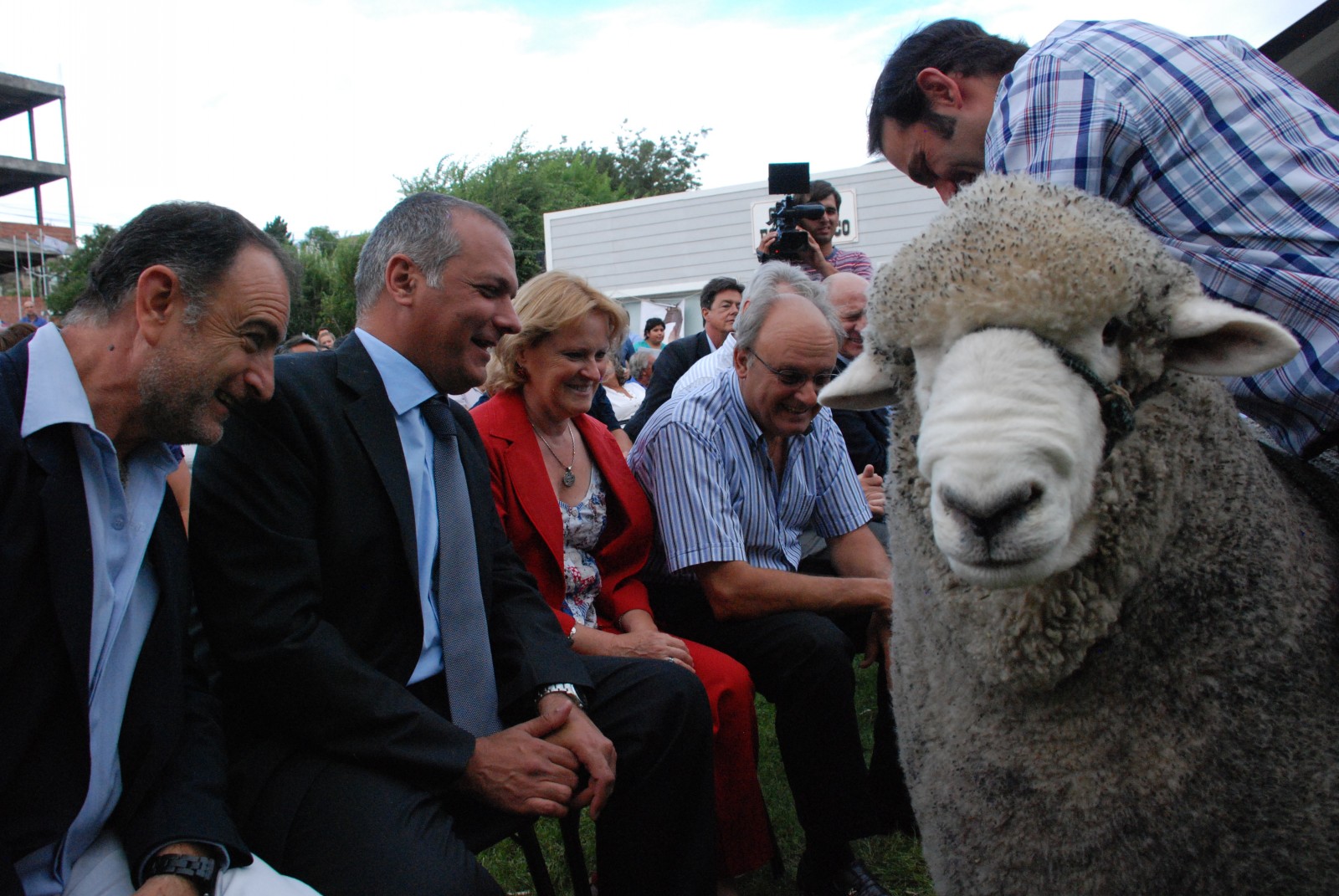 Provincia define líneas de financiamiento con productores laneros