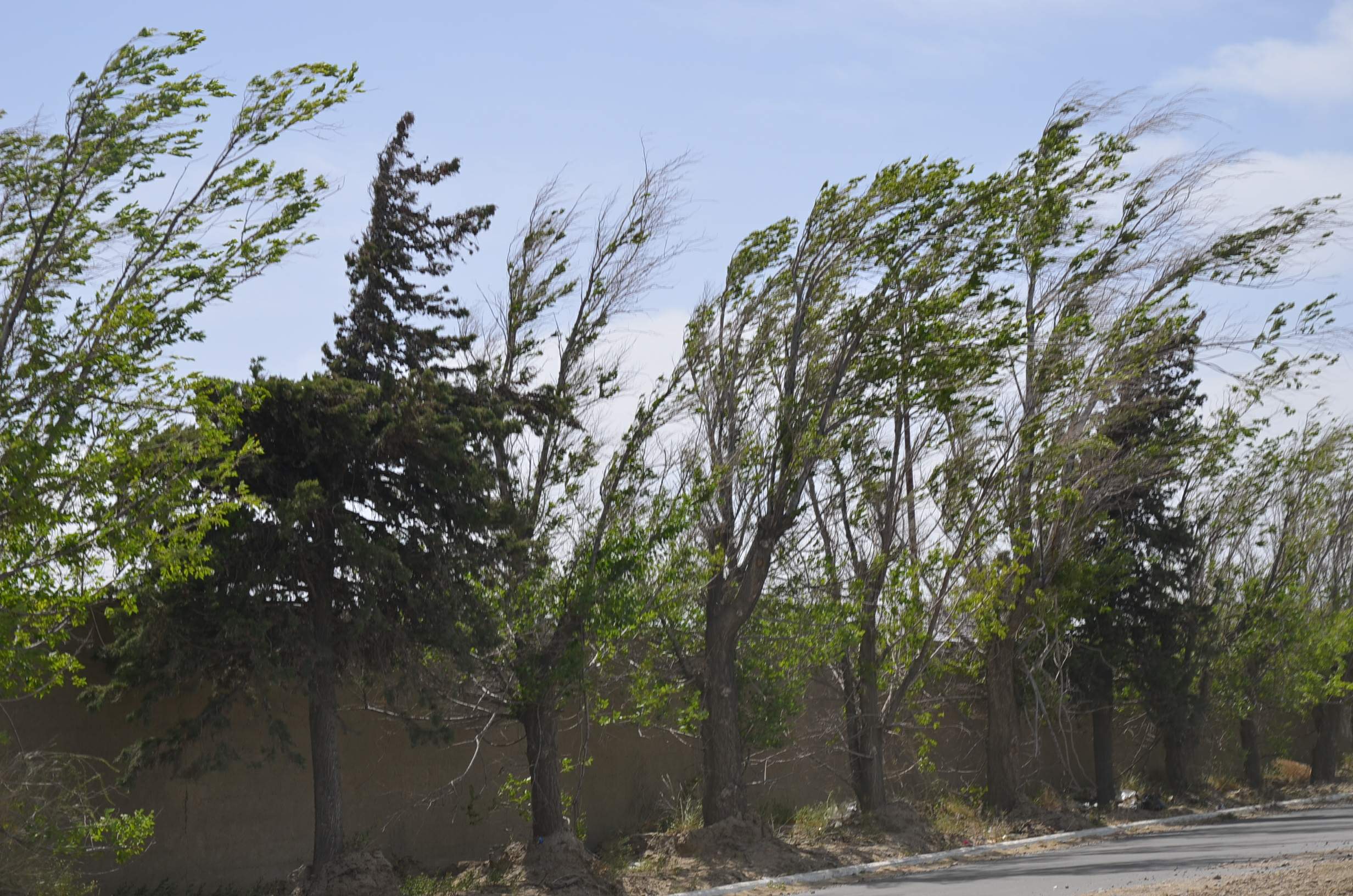 El viento vuelve a atacar la ciudad