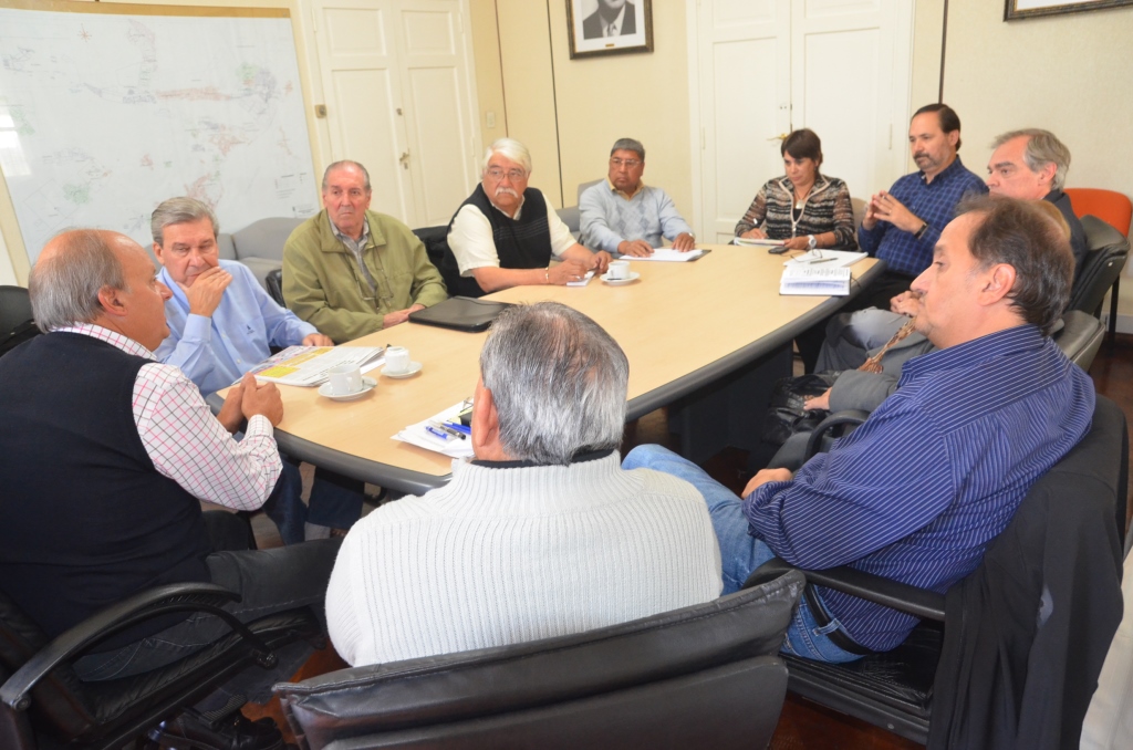 Di Pierro y Guinle encabezan reunión por la crisis sanitaria