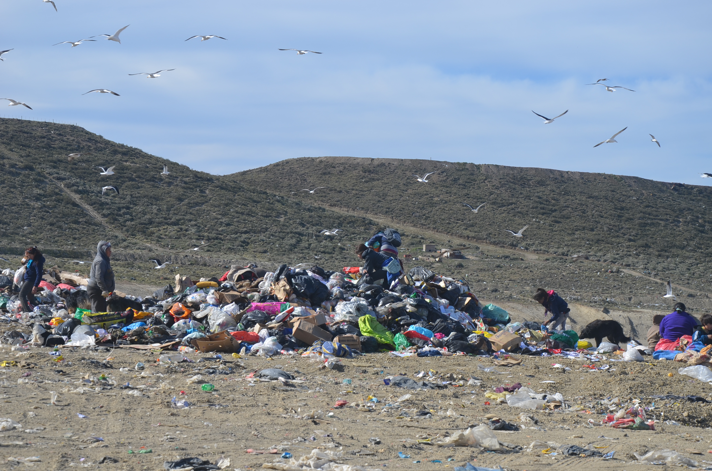 Presentan el Proyecto GIRSU para Comodoro y Rada Tilly