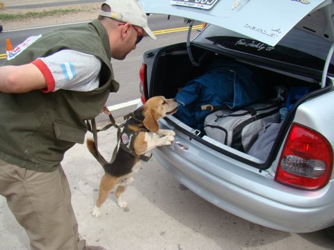 Corrieron la barrera sanitaria de la Aftosa
