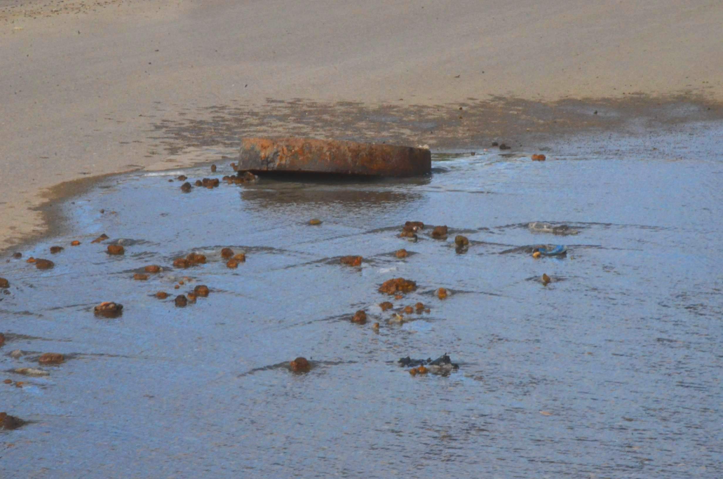 Radicales proponen declarar emergencia ambiental en Comodoro