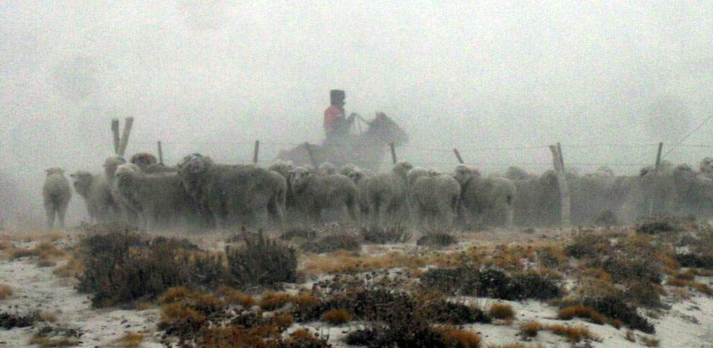 Buzzi prorrogó el estado de emergencia agropecuaria