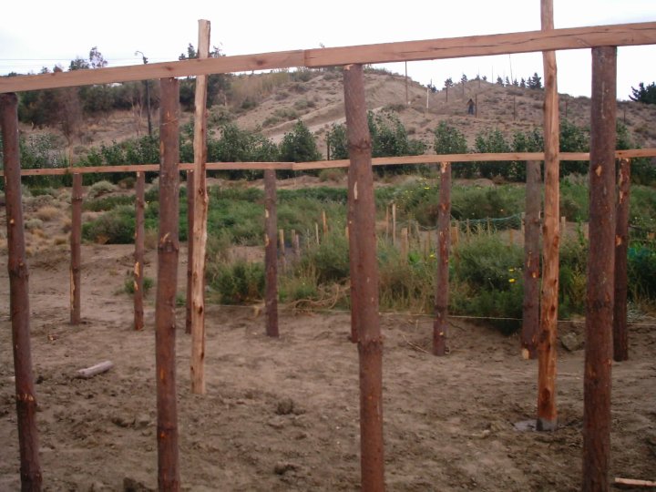 Quejas en el Cordón Forestal por falta de agua para riego