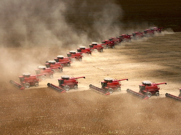 La soja se hunde por cosecha récord en EEUU