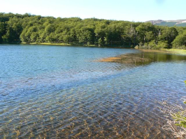 Impulsan creación de un Parque Nacional en el Lago La Plata