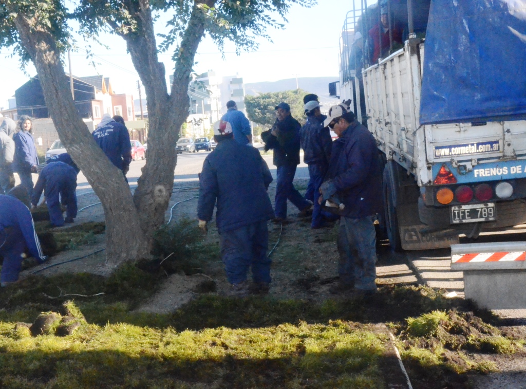 Reacondicionan espacios verdes de la ciudad