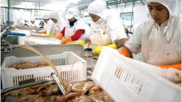 Madryn: Encuentran 2 mil kg. de cocaína en una pesquera