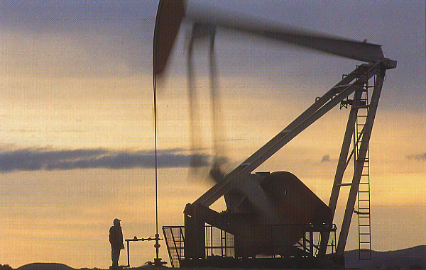 “La renegociación con Tecpetrol es superadora”