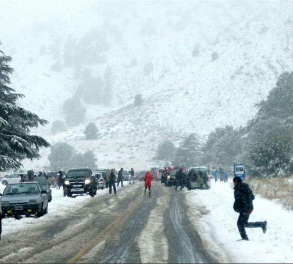 Ola polar: nevó en Misiones por primera vez en 48 años