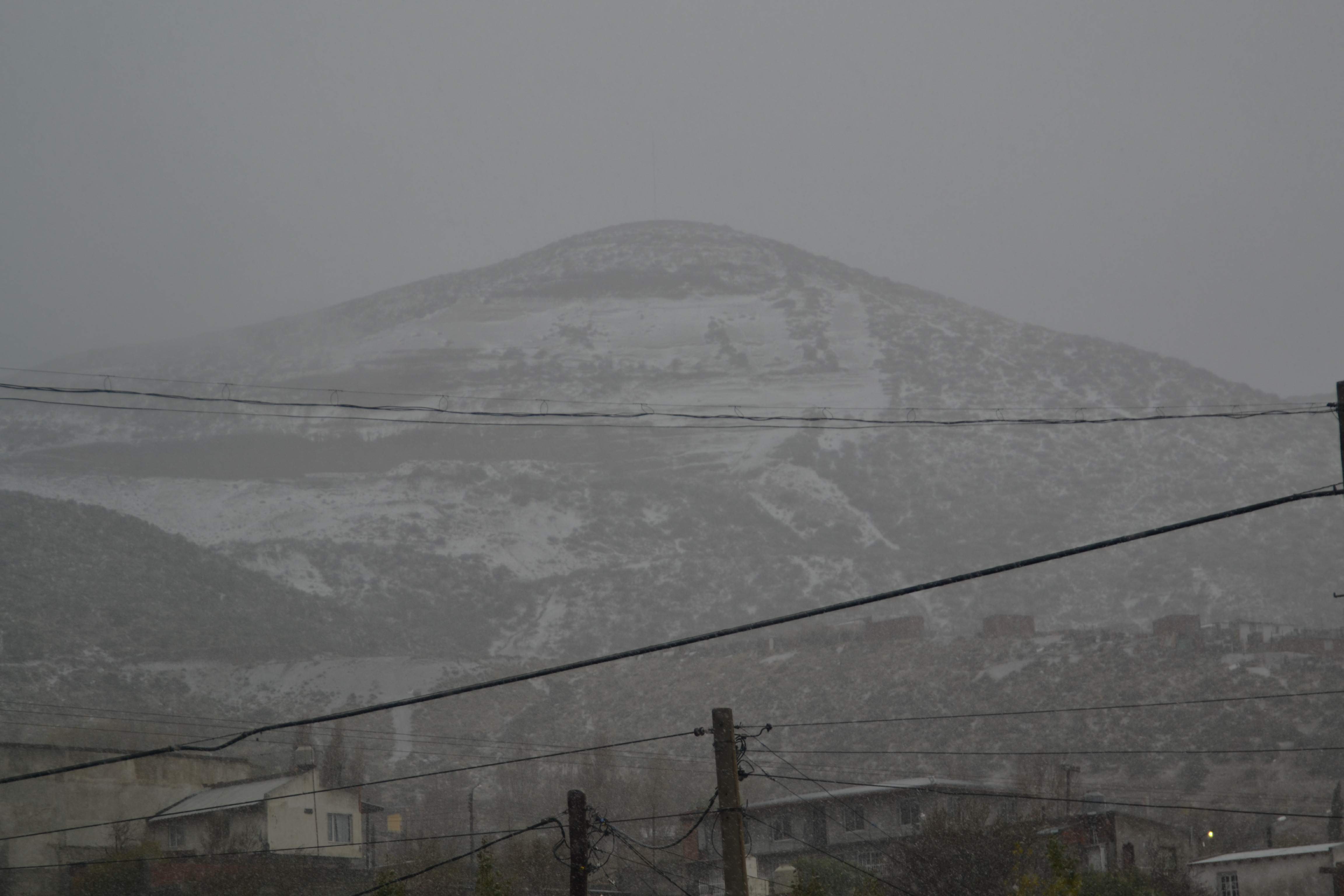 Refuerzan asistencia por la ola polar