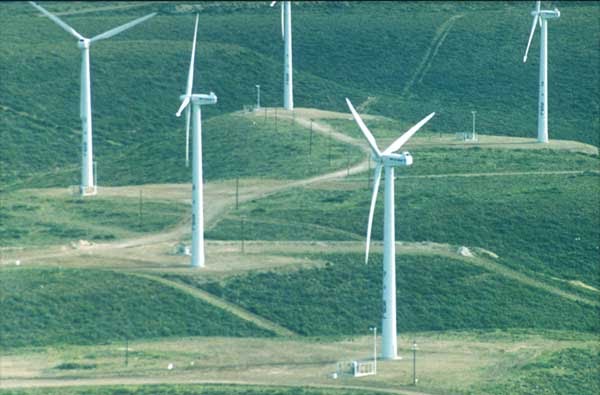Chubut destacada en evento sobre energía eólica