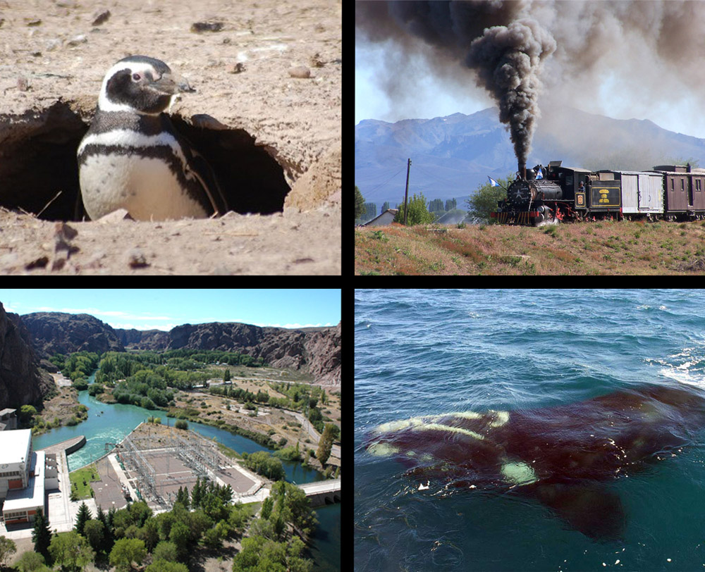 90% de ocupación en la Cordillera y 5 mil turistas en P. Valdés