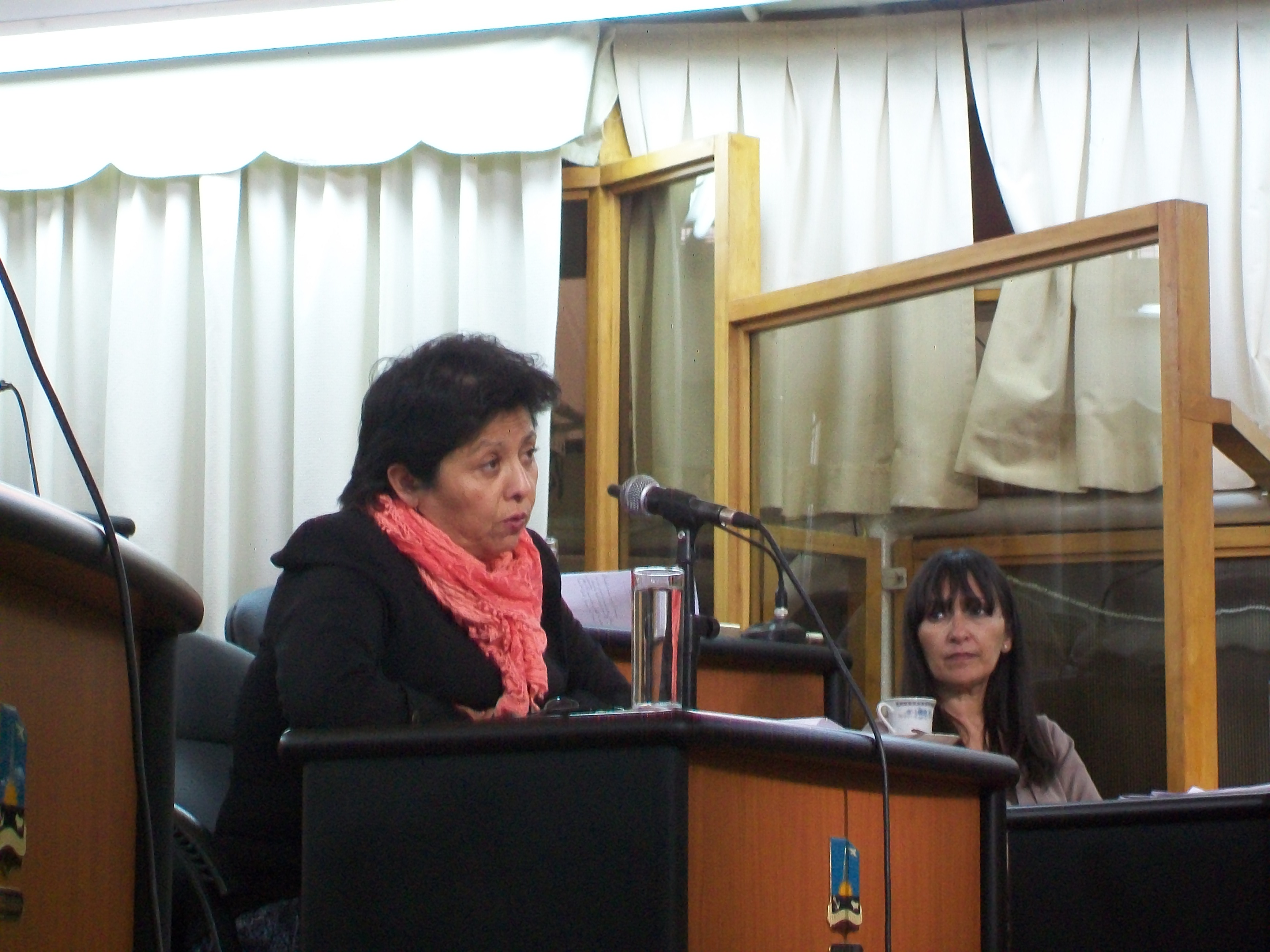 Periodista deportivo denigró a Viviana Navarro