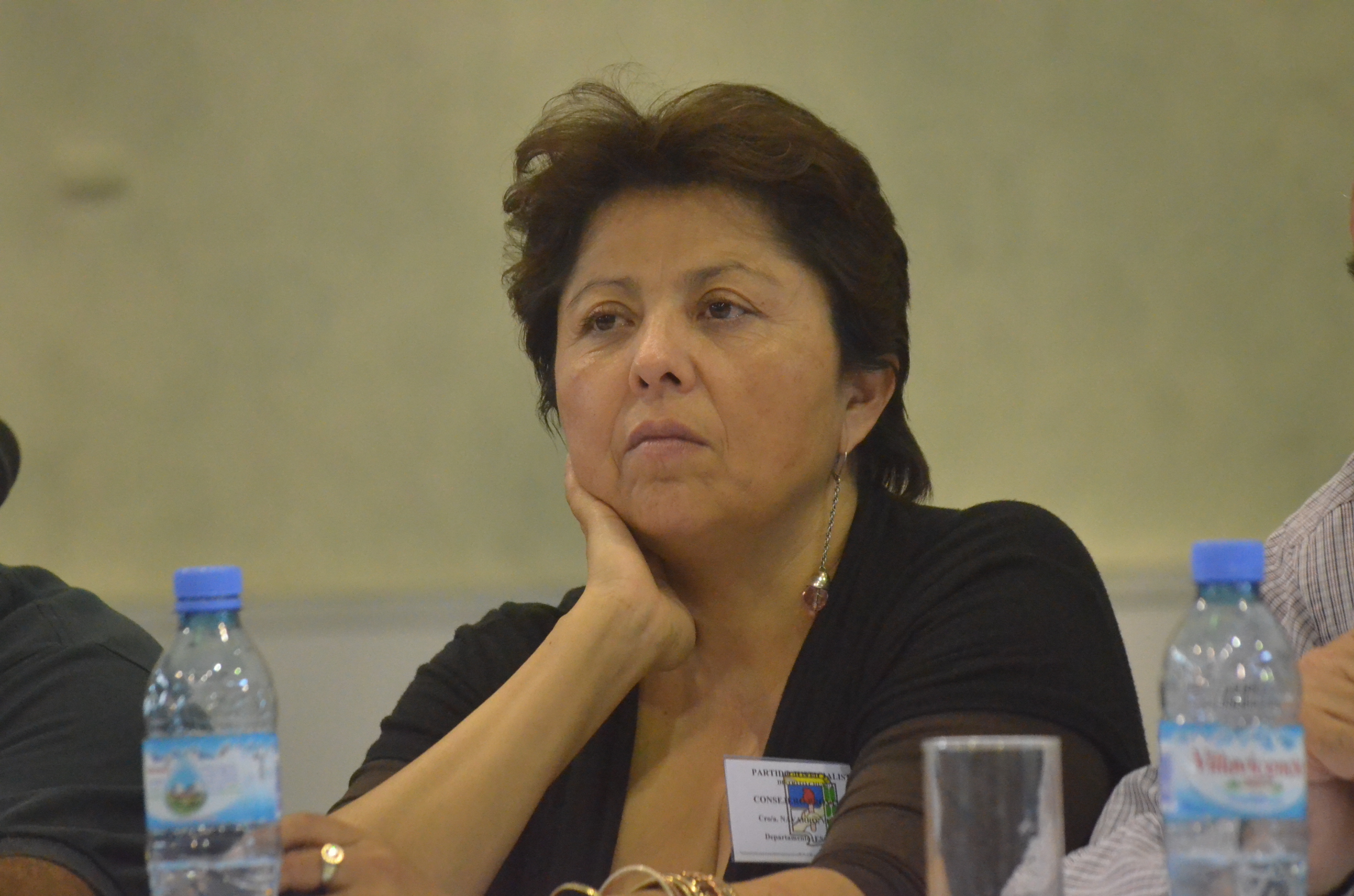 Navarro: «Les importa tres carajos el proyecto nacional»